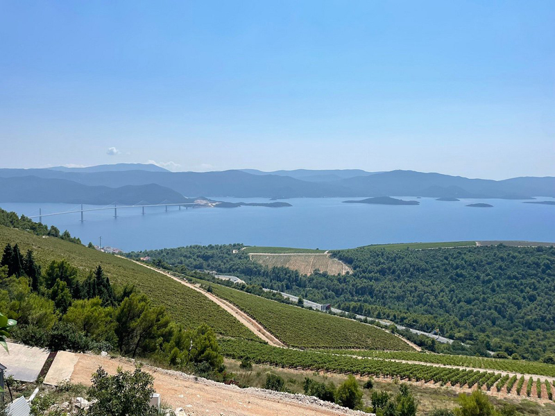 Weinregion Komarna, gegenüber Peljesac