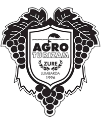Zure Zure